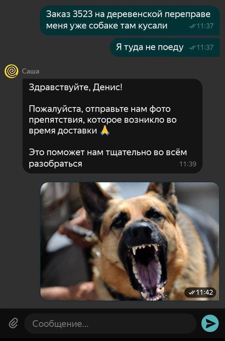 Такую преграду преодолеет лишь достойнейший из курьеров
#Маркетинг | Сетка — социальная сеть от hh.ru