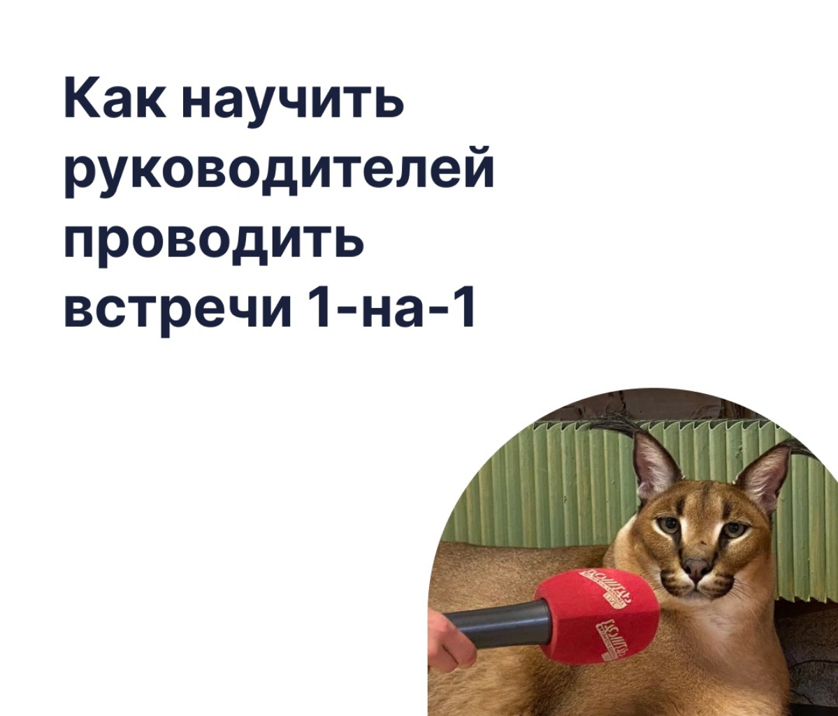 Предлагаем сразу скачать чек-лист для руководителей https://vk.com/app7070938-69510585#s=66ab5c7f1abd337c1a59e6d4&force=1
В нем по пунктам разложили алгоритм идеальной встречи | Сетка — социальная сеть от hh.ru