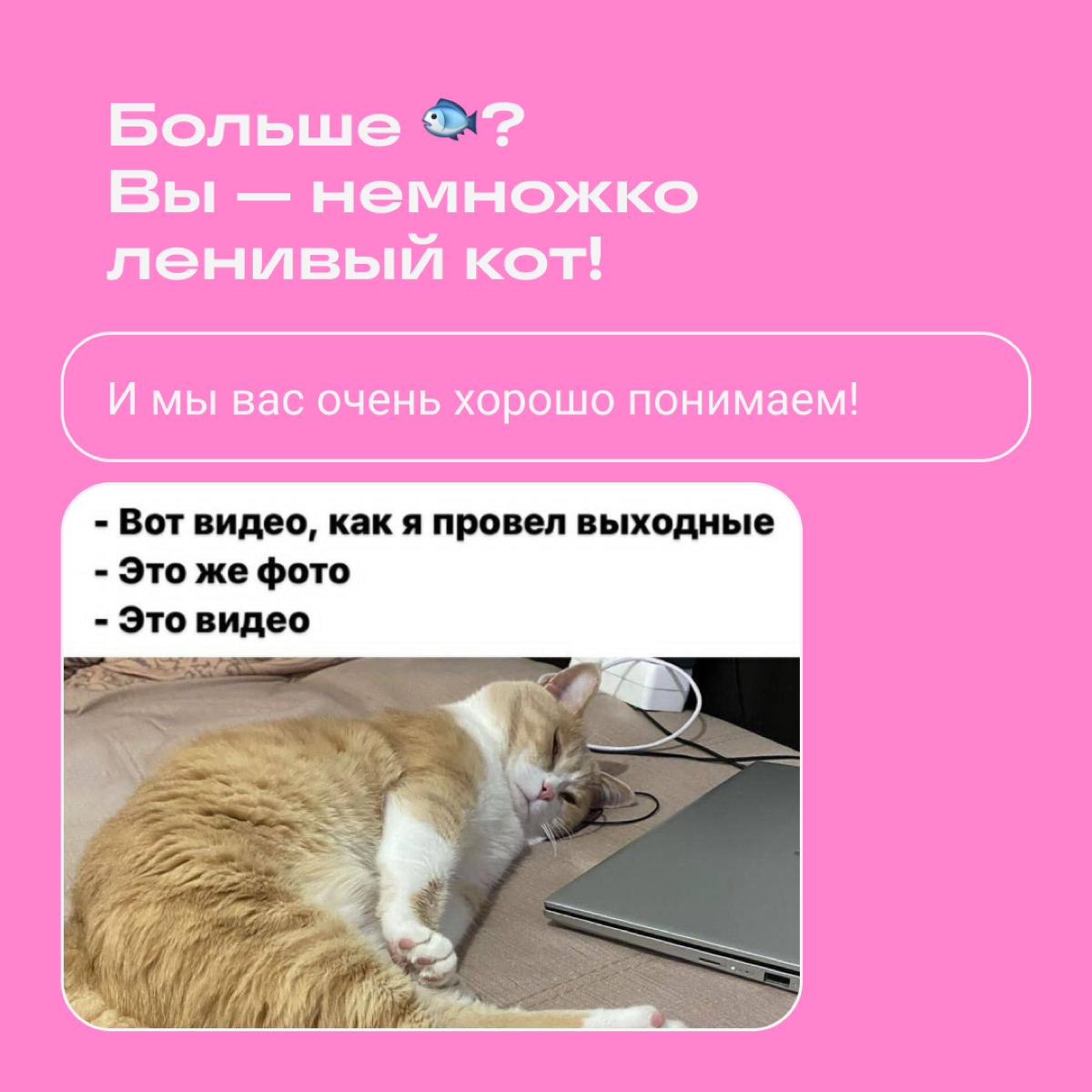 Тест: какой вы мем | Сетка — социальная сеть от hh.ru