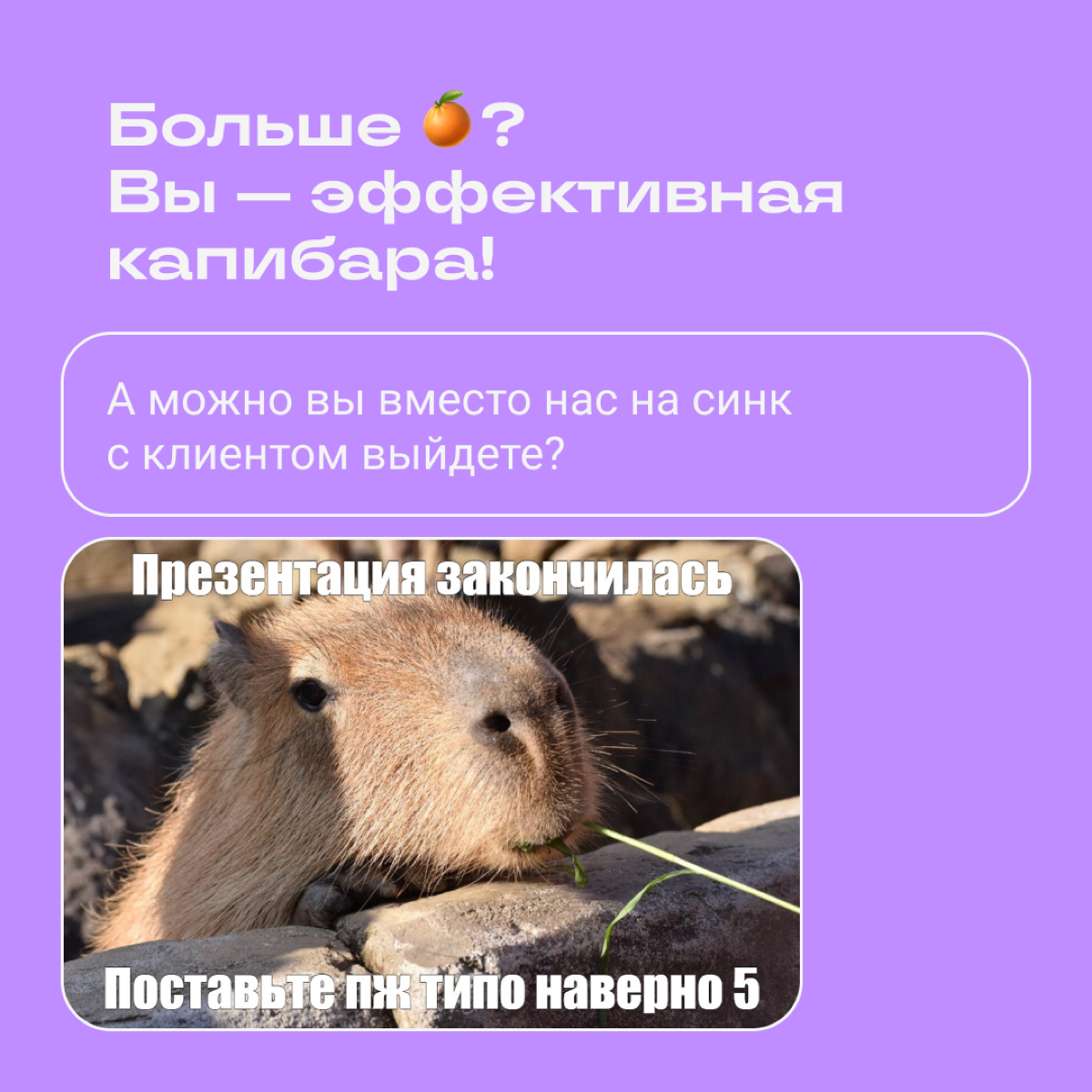 Тест: какой вы мем | Сетка — социальная сеть от hh.ru