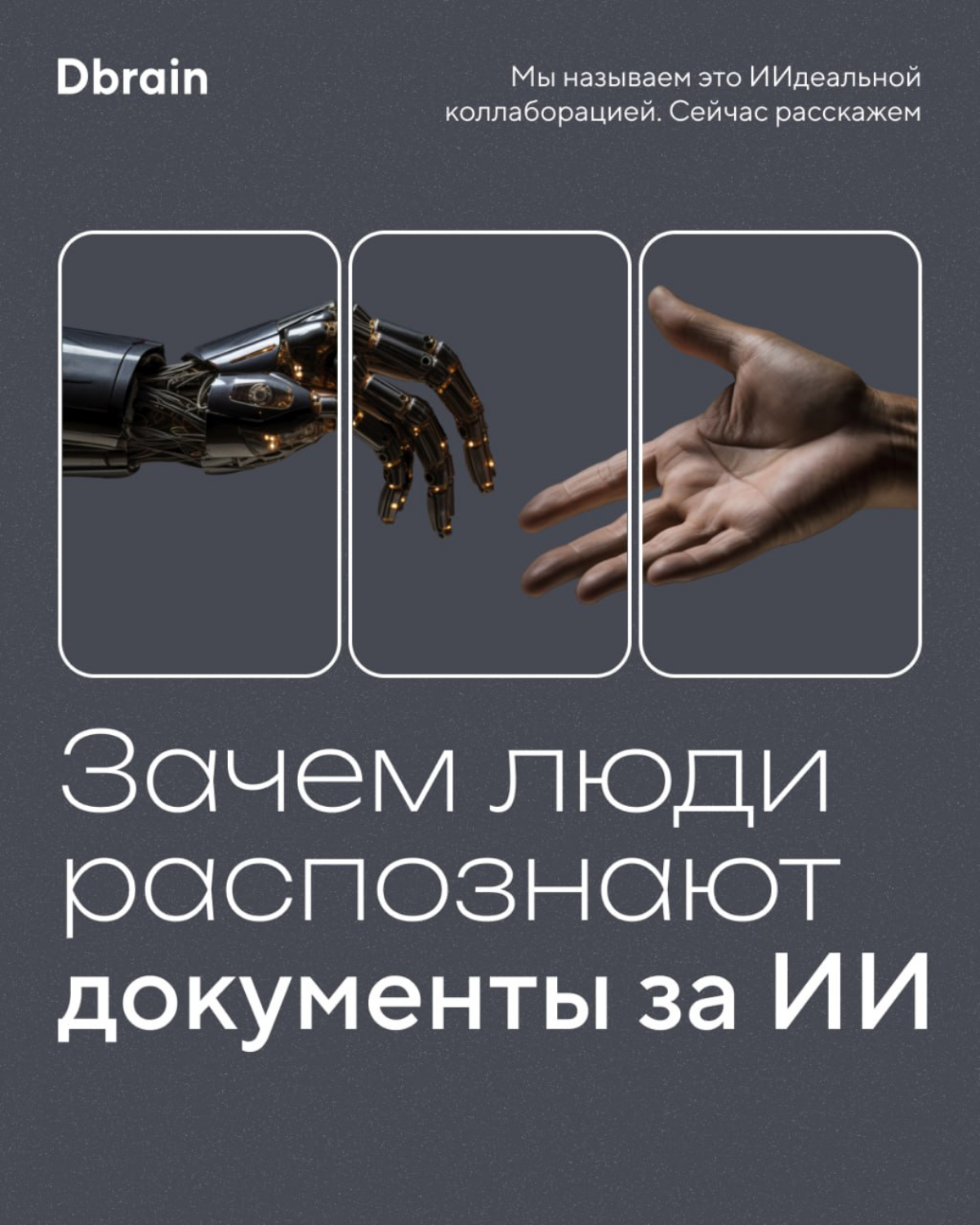 «А правда, что у вас всё люди распознают, а не нейросети?» | Сетка — социальная сеть от hh.ru