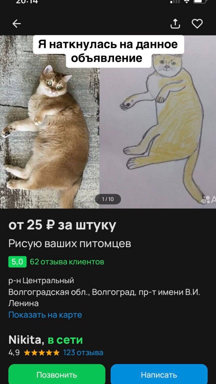 Милота: девушка нашла на Авито объявление семилетнего художника, который рисует портреты домашних животных за 25 рублей.
Девушка не сдержалась и помогла парню еще чуть-чуть подкопить на смартфон | Сетка — социальная сеть от hh.ru