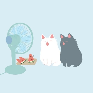 Диана Кот | Сетка — социальная сеть от hh.ru