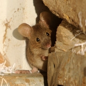 Георгий Пегов | Сетка — социальная сеть от hh.ru