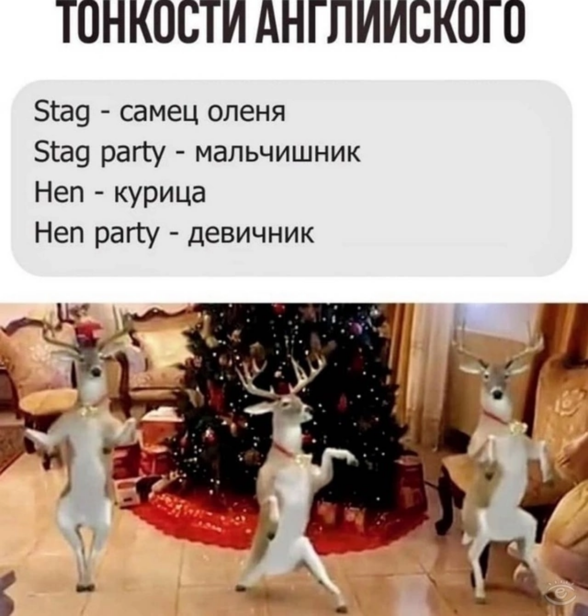 Такие приколы имеются))
Запись на урок 👉 тг buzolicmiss
#английский | Сетка — социальная сеть от hh.ru