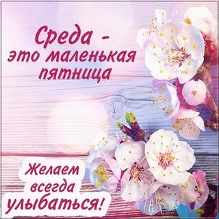 Добрый день, калеги!
Скоро закрытие квартала, время напряженное. Но после закрытия предлагаю устроить мини корпоратив в честь продуктивной работы!
Готова выслушать ваши предложения! | Сетка — социальная сеть от hh.ru