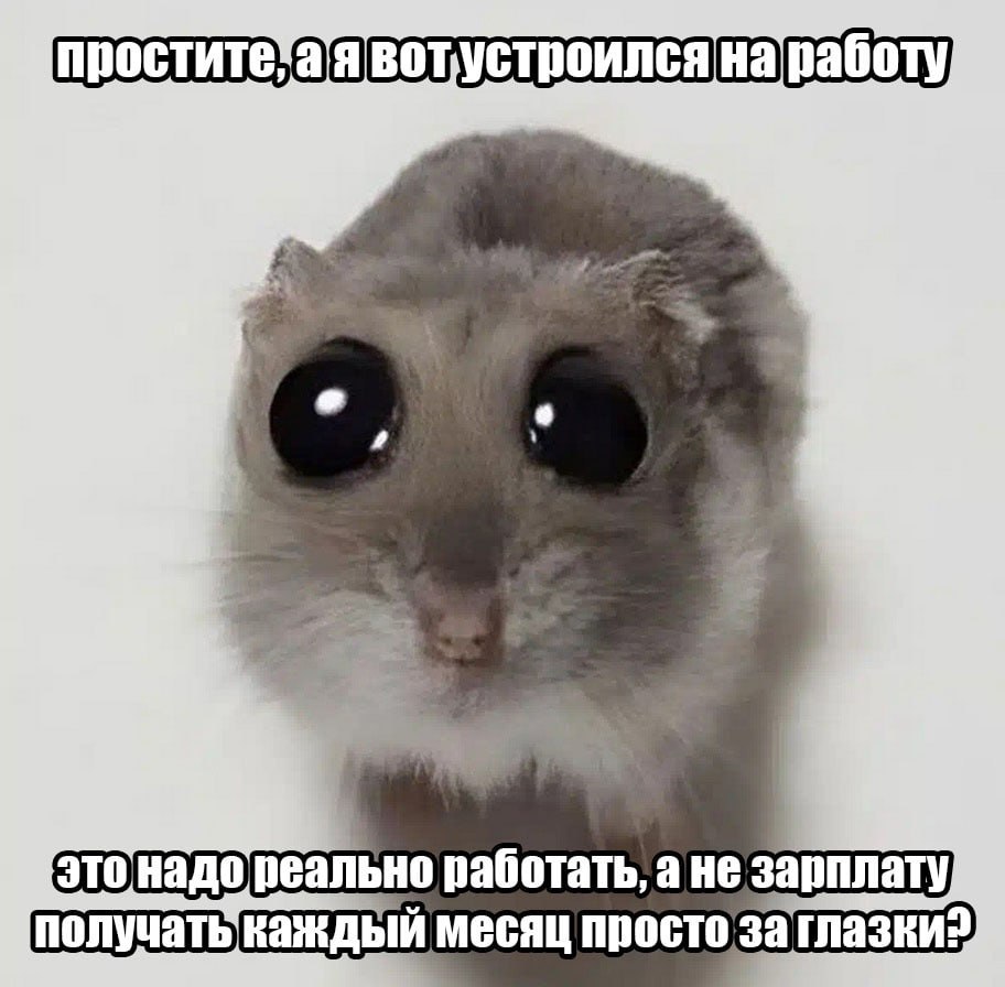 Сетка — социальная сеть от hh.ru