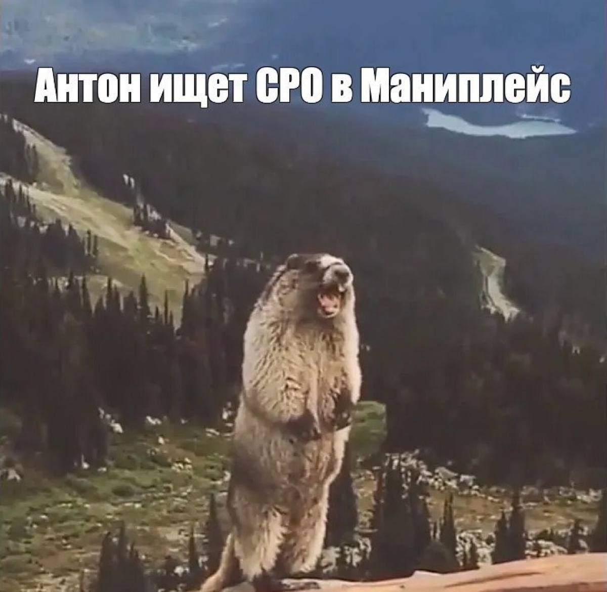 Вакансия! CPO в Маниплейс
В конце прошлого года Контур и Маниплейс объединились для создания экосистемы сервисов, которые облегчают ведение бизнеса для селлеров | Сетка — социальная сеть от hh.ru
