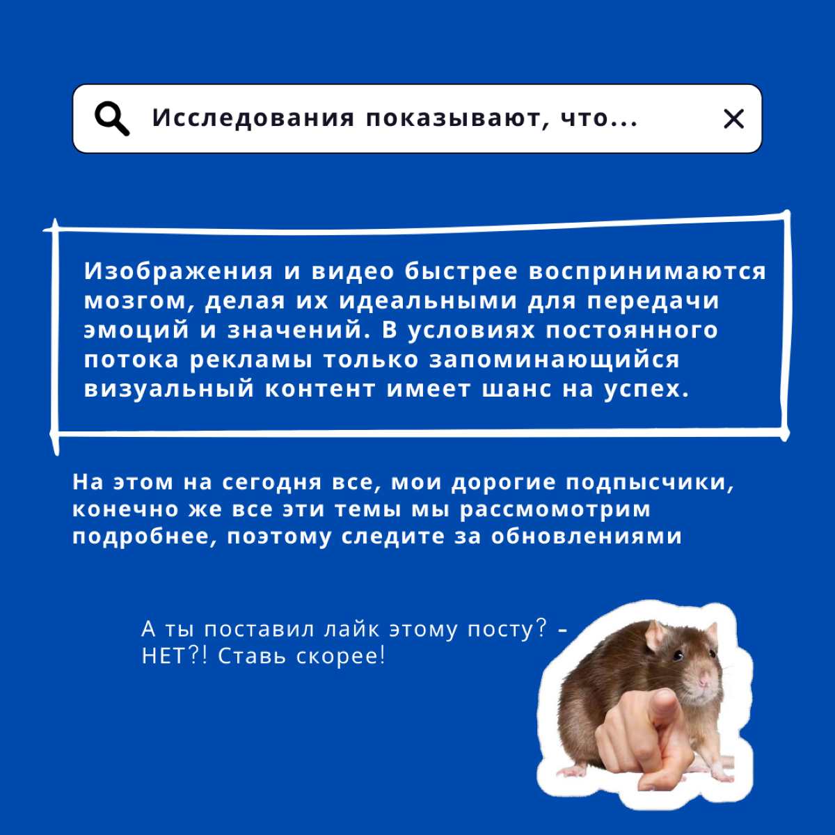 На чем строится эффективный SMM?
Брендинг, Воронка продаж и Визуальная составляющая - это 3 кита на которых стоит реальный СММ | Сетка — социальная сеть от hh.ru