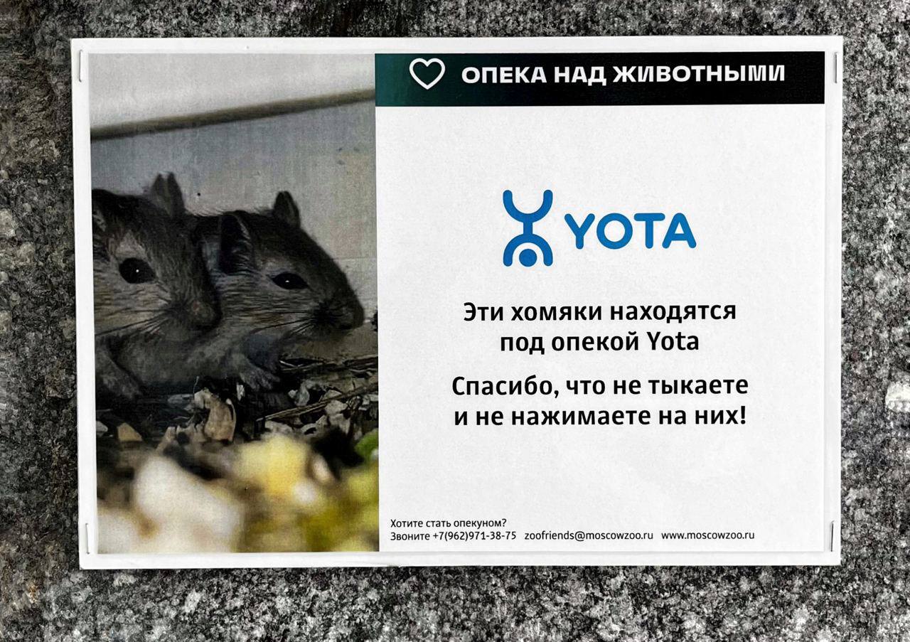 Гайз, нажимать на хомяка — слишком жестоко. Вот Yota против издевательств над животными и взяла под защиту хомячков в Московском зоопарке. Взамен бренд возвращает деньги за непотраченные минуты и гиги | Сетка — социальная сеть от hh.ru