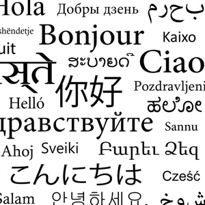 Переводчики в Сетке