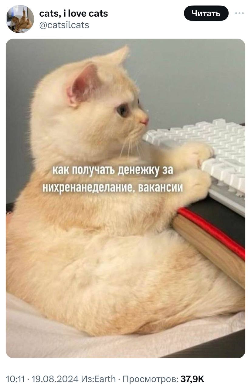 Рекрутер: какие ваши ожидания по вакансии?
Наши ожидания:
➡️ отправь в телеге мем коллеге | Сетка — социальная сеть от hh.ru