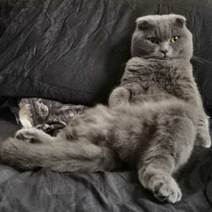 Дмитрий Сахно