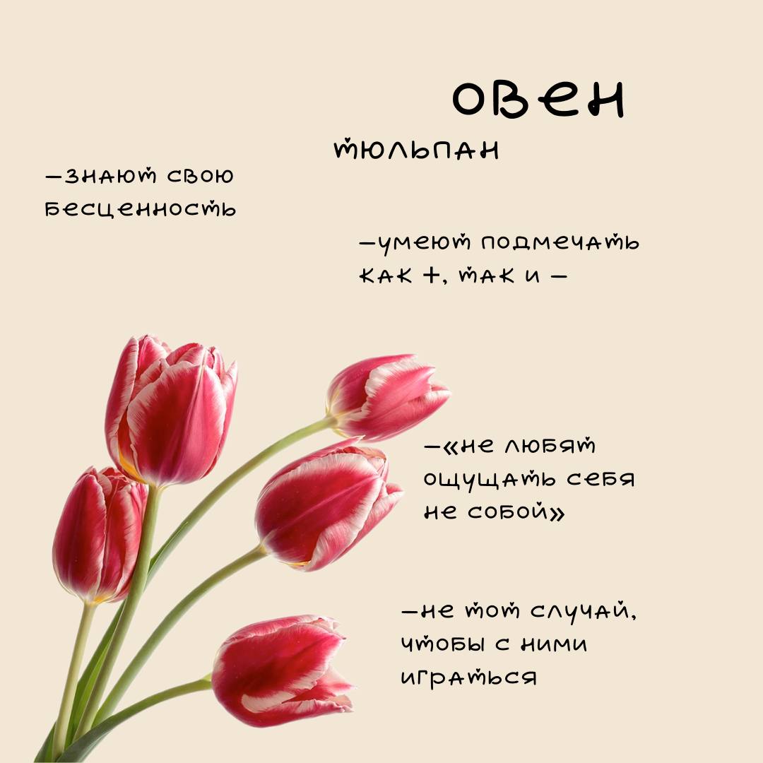 ❤️Цветочный гороскоп Ч | Сетка — социальная сеть от hh.ru