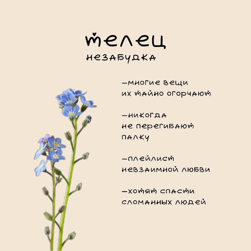 ❤️Цветочный гороскоп Ч | Сетка — социальная сеть от hh.ru
