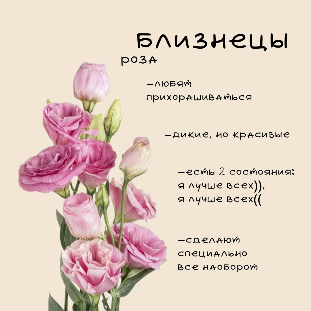 ❤️Цветочный гороскоп Ч | Сетка — социальная сеть от hh.ru