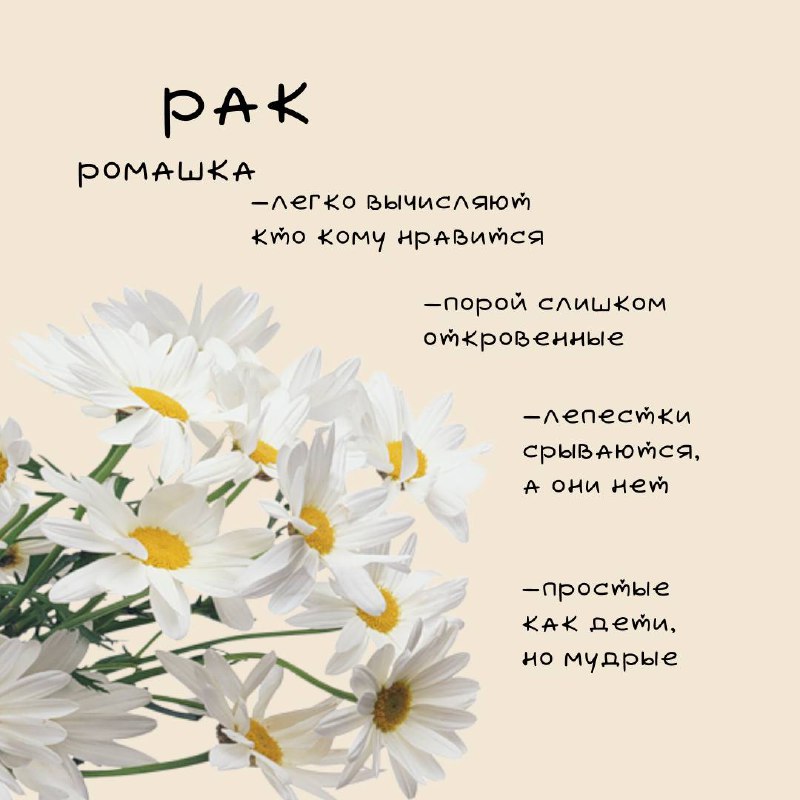❤️Цветочный гороскоп Ч | Сетка — социальная сеть от hh.ru