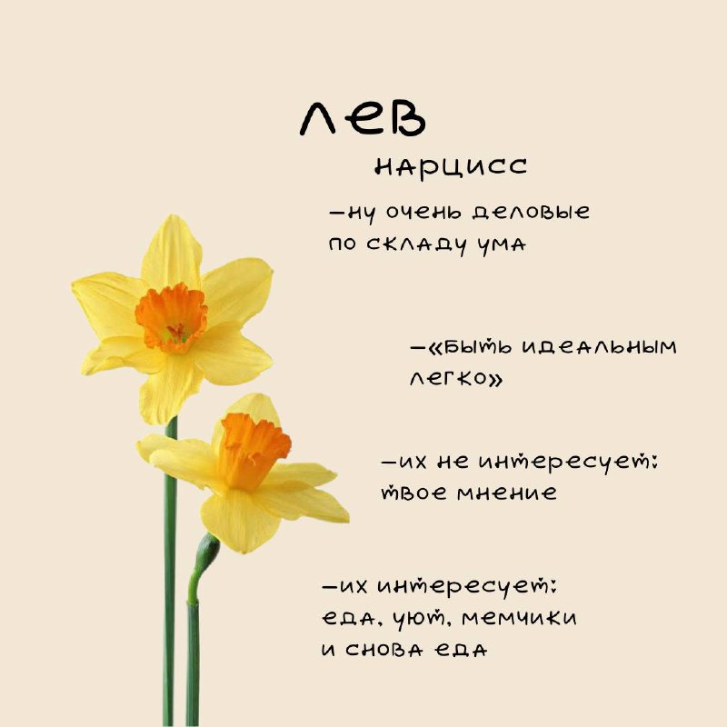 ❤️Цветочный гороскоп Ч | Сетка — социальная сеть от hh.ru