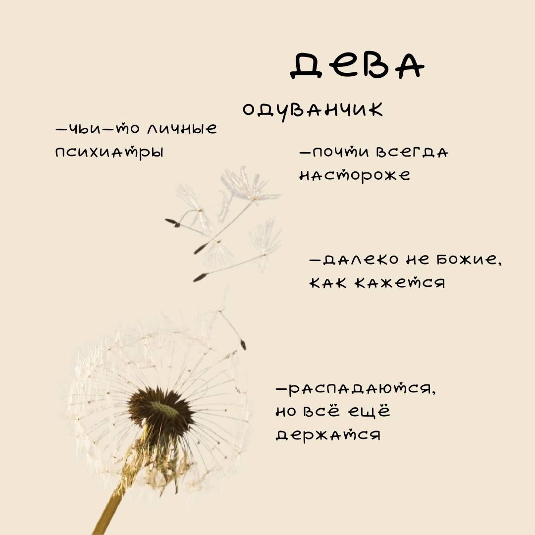 ❤️Цветочный гороскоп Ч | Сетка — социальная сеть от hh.ru