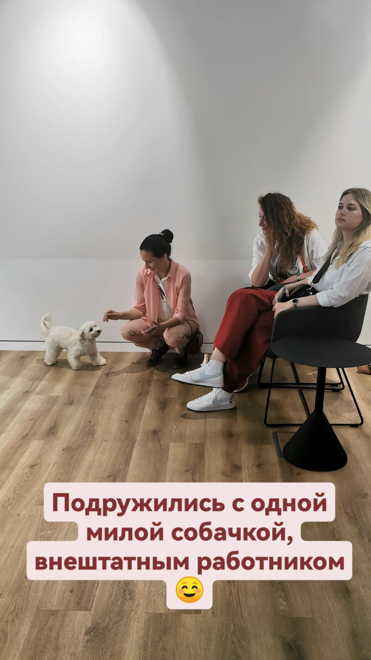 Экскурсия в Alfa Research Center | Сетка — социальная сеть от hh.ru