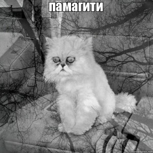Эффективность направленного действия ДСИЗ
Читаем Правила обеспечения СИЗ:
35 | Сетка — социальная сеть от hh.ru