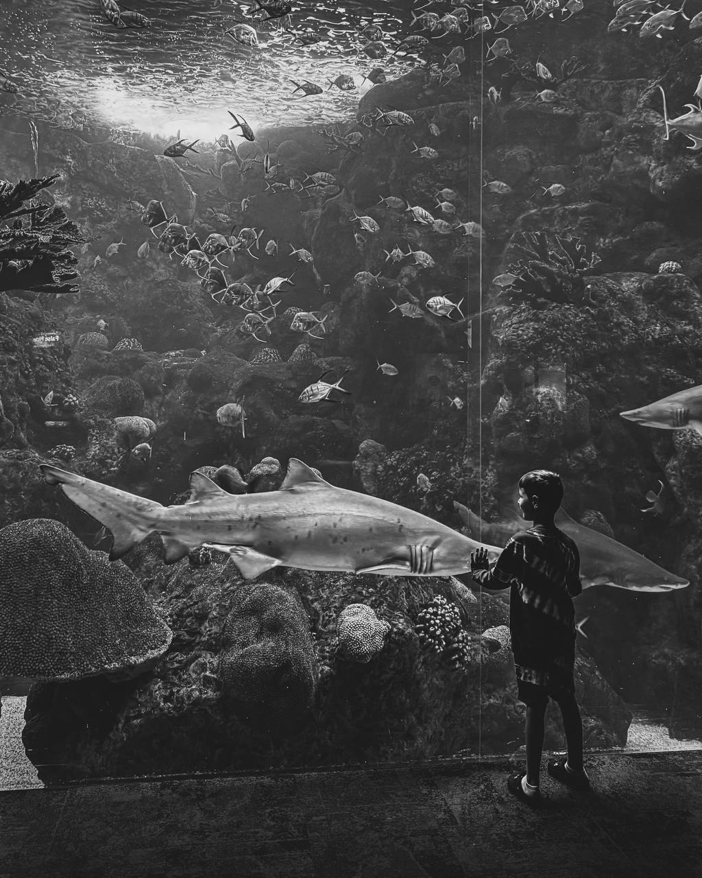 Фотофиксация мира
На этой неделе отмечаем праздник с теми из нас, кто любит запечатлеть момент — Всемирный день фотографии | Сетка — социальная сеть от hh.ru