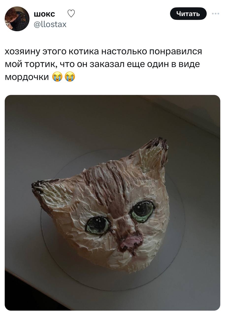 Кондитер из Москвы делает торты в виде котиков по фото пушистых — все от этих милейших тортов в таком восторге, что даже боятся это чудо разрезать.
Ничего милее вы сегодня уже не увидите | Сетка — социальная сеть от hh.ru