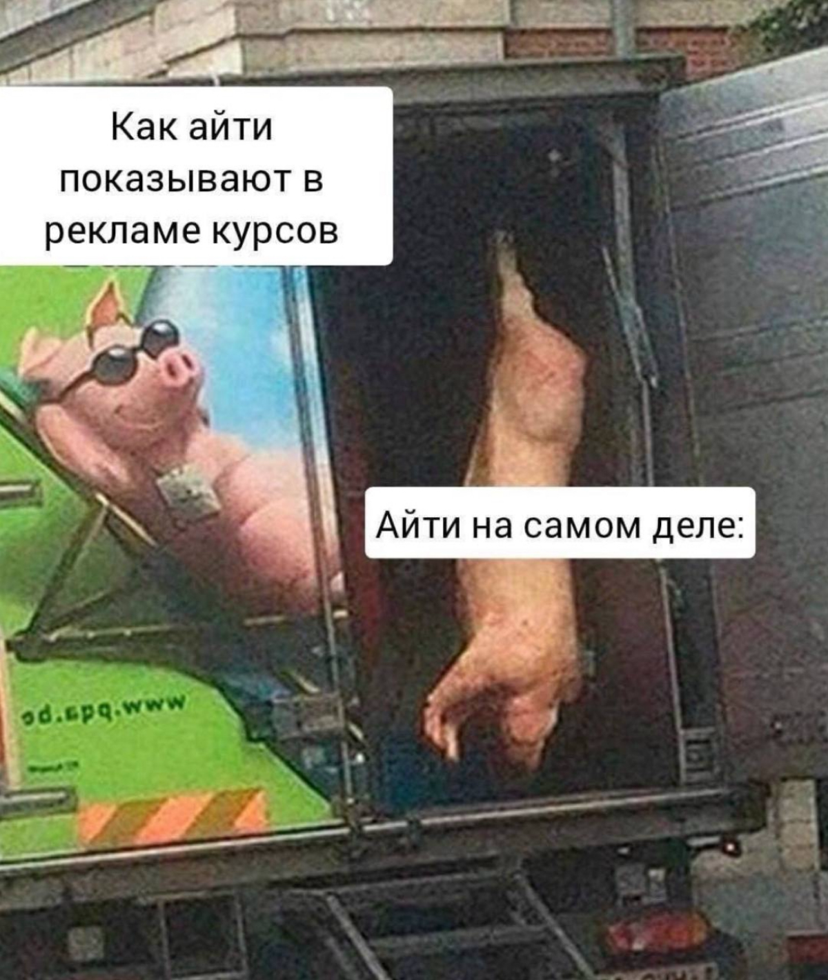 Кто был жестоко обманут? | Сетка — социальная сеть от hh.ru