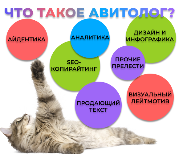 Чем занимается авитолог? | Сетка — социальная сеть от hh.ru