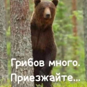 Саня Безфомильный