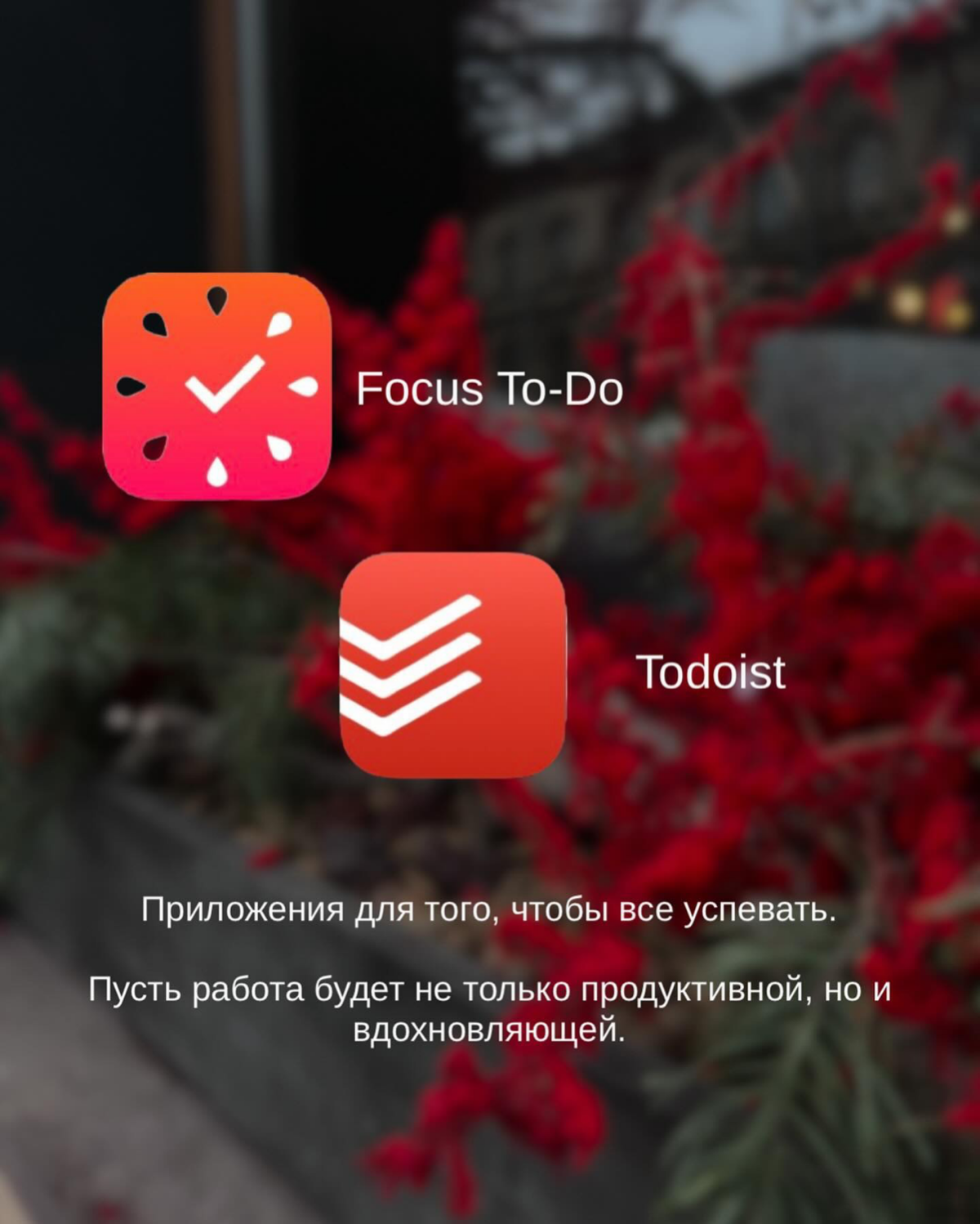 Или полная прокрастинация или гипер - продуктивность
⠀
Золотой середины не бывает, но можно попробовать, есть 2 приложения, которые рекомендую скачать.
⠀
1 | Сетка — социальная сеть от hh.ru