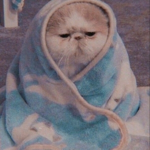 Света Тараненко
