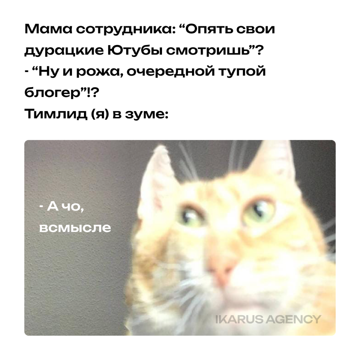 🥲🥲🥲 | Сетка — социальная сеть от hh.ru
