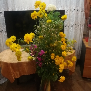 Татьяна Чикина