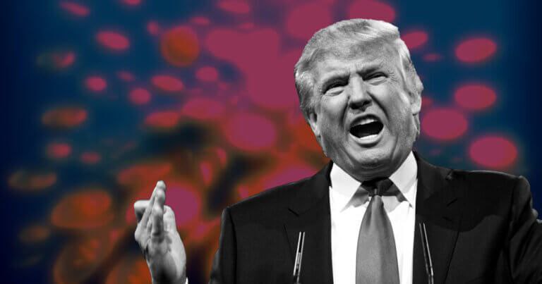 Семья Трампа представляет новую платформу DeFi, которая призвана подорвать «крупные банки» | Сетка — социальная сеть от hh.ru