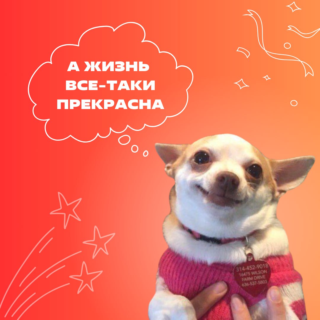 Когда ПЯТНИЦА 🥳
И сложные задачи уже становятся не такими тяжелыми, когда думаешь о предстоящих выходных!
Любая реакция, если это любимый день недели ❤️ | Сетка — социальная сеть от hh.ru