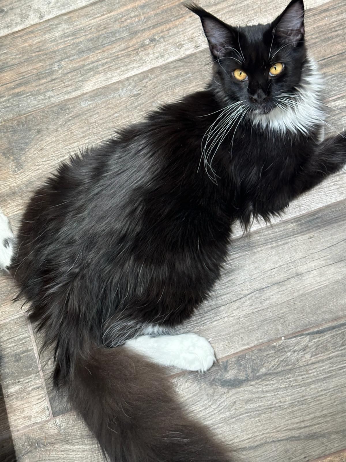 Перед вебинаром по Customer Success 28 августа (среда) мы с Аней собрали много хороших вопросов, например:

Будет ли вебинар бесплатным?

Да, он полностью бесплатный

Верно ли, что он проводится перед... | Сетка — социальная сеть от hh.ru