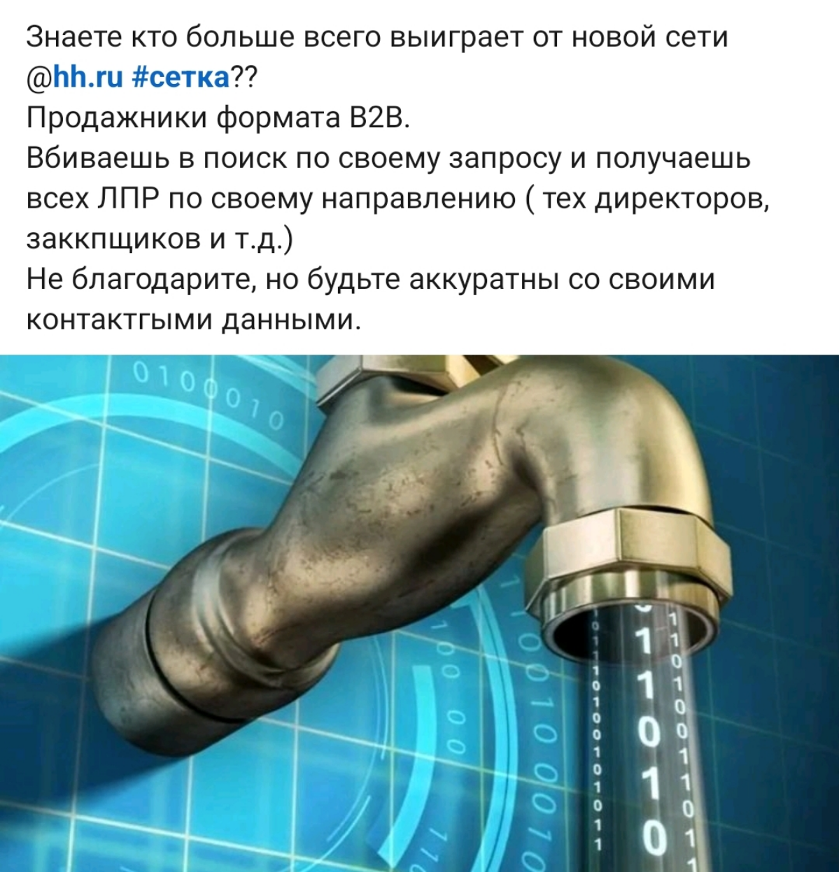 Сетка — социальная сеть от hh.ru