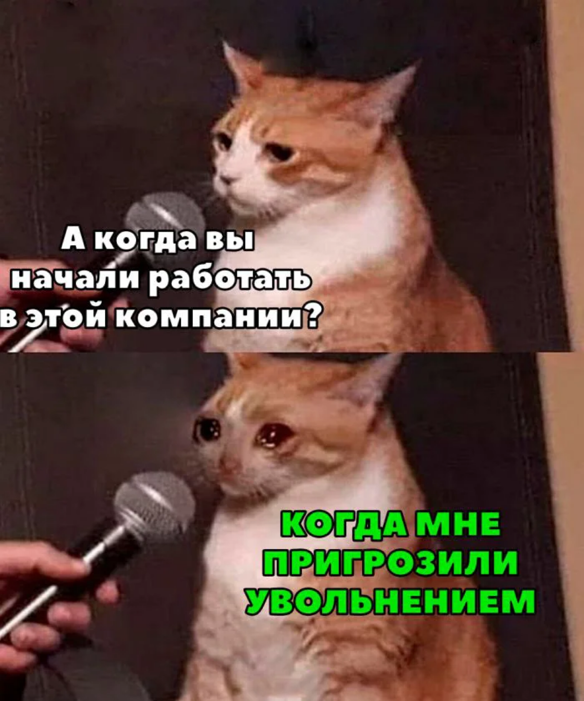 Почему я увольняю опытных и беру новичков !!! | Сетка — социальная сеть от hh.ru