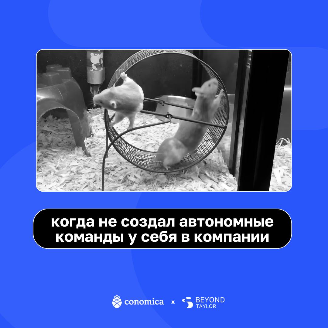 Объявляем пятницу-мемятницу! 🕺
Неделя выдалась насыщенной, поэтому мы с ребятами из Conomica сели и напридумывали приколов | Сетка — социальная сеть от hh.ru