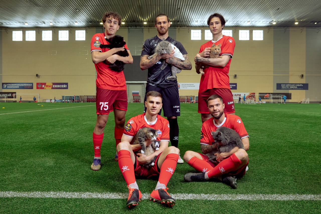 😻 Милая акция Leon и ФК Енисей
Помогли бездомным животным через приют «Золотое сердце» | Сетка — социальная сеть от hh.ru