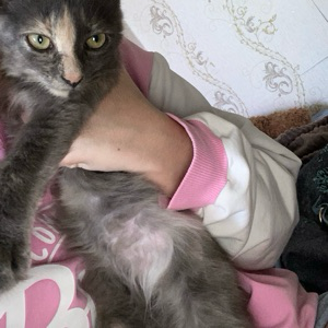 Ангелина Никинова