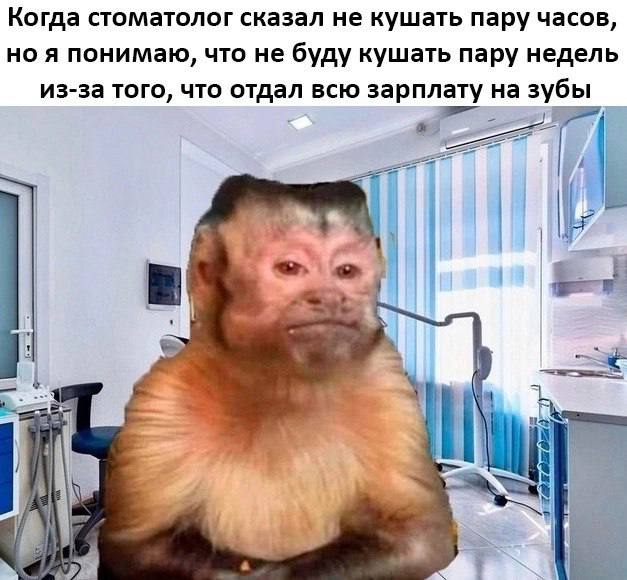 Собрали все посты недели в один:
➡️ гарантия трудоустройства - миф
➡️ интересные факты о резюме в разных странах
➡️ сайт Worldpopulationreview как ресурс для релокации
➡️ страны-лидеры в сфере ИИ
➡️ н... | Сетка — социальная сеть от hh.ru