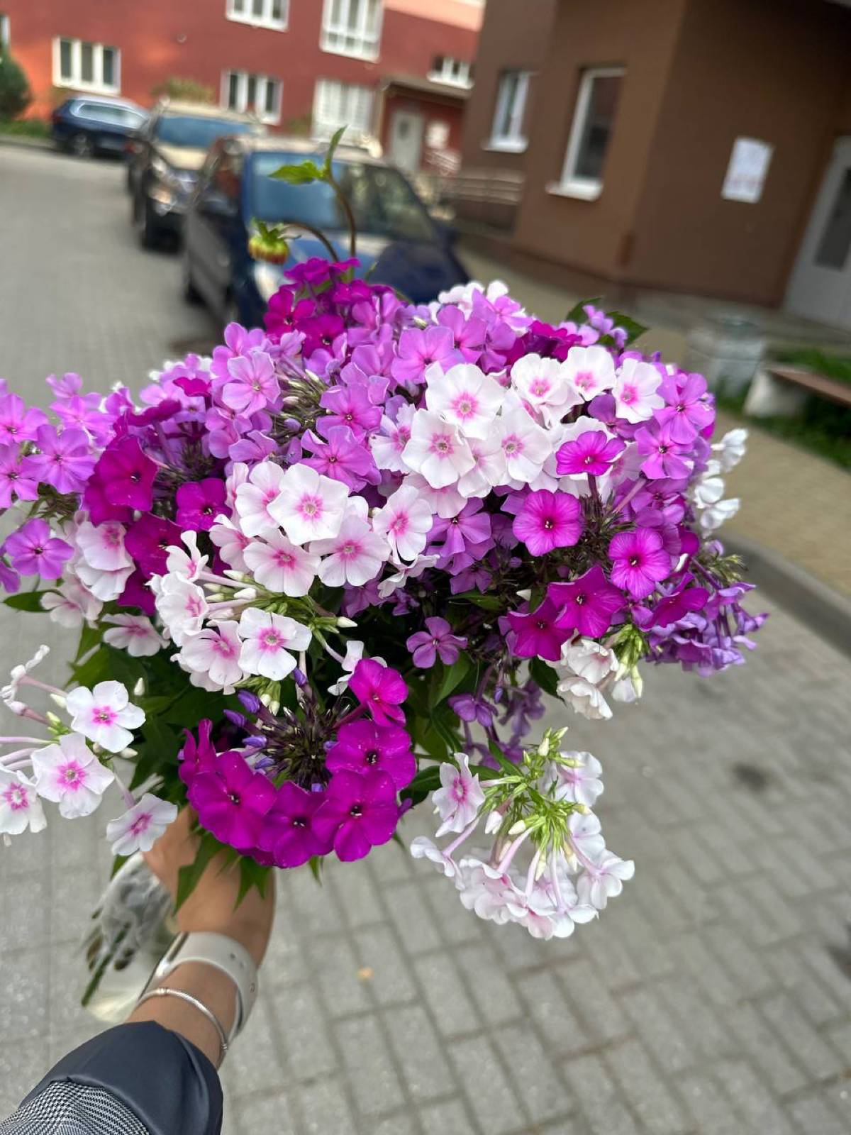 Радую себя цветами❤️
Покупаете ли вы себе цветы сами? Или ждёте их от мужчин? | Сетка — социальная сеть от hh.ru