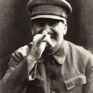 Кот Котопёс | Сетка — социальная сеть от hh.ru