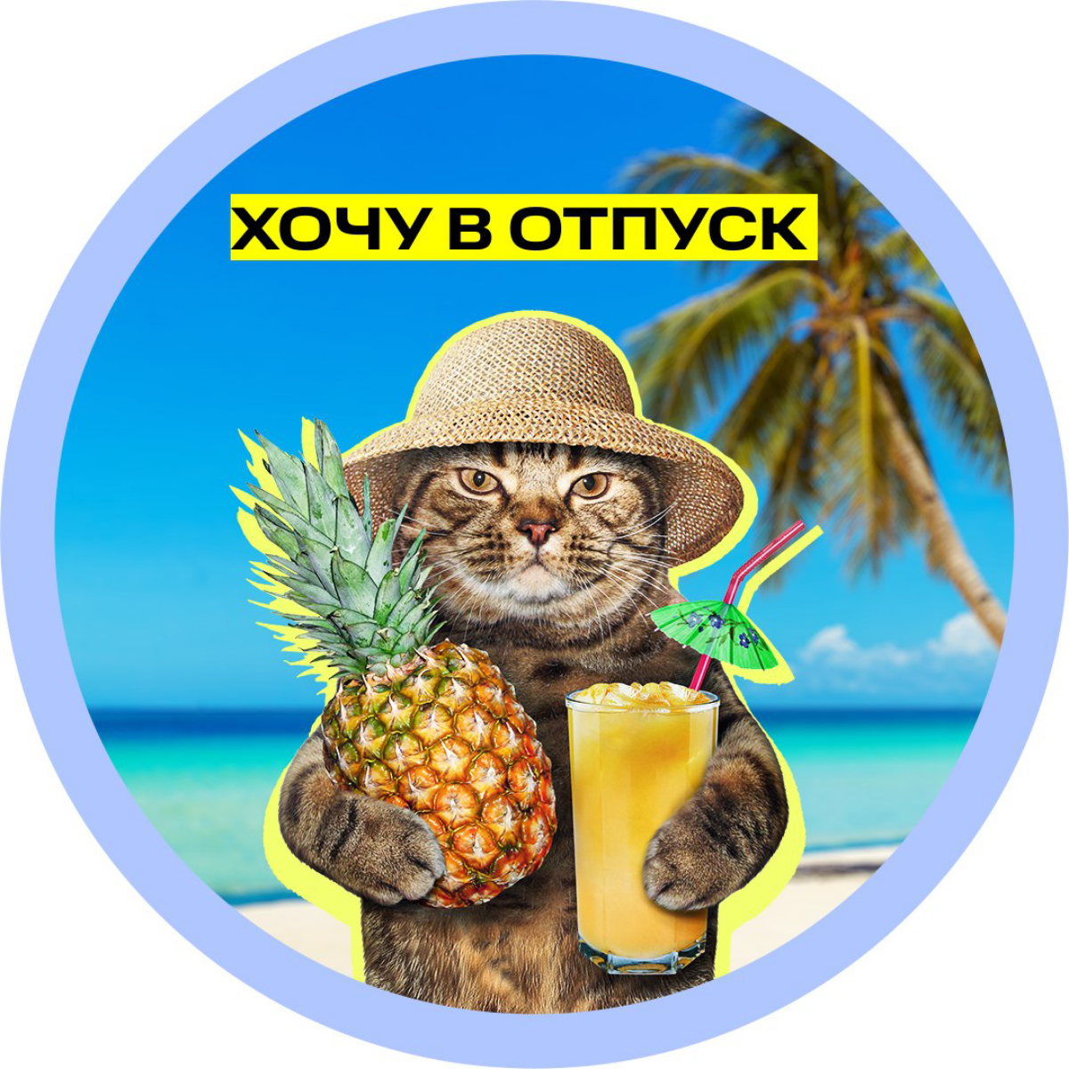 Когда ааа??? | Сетка — социальная сеть от hh.ru