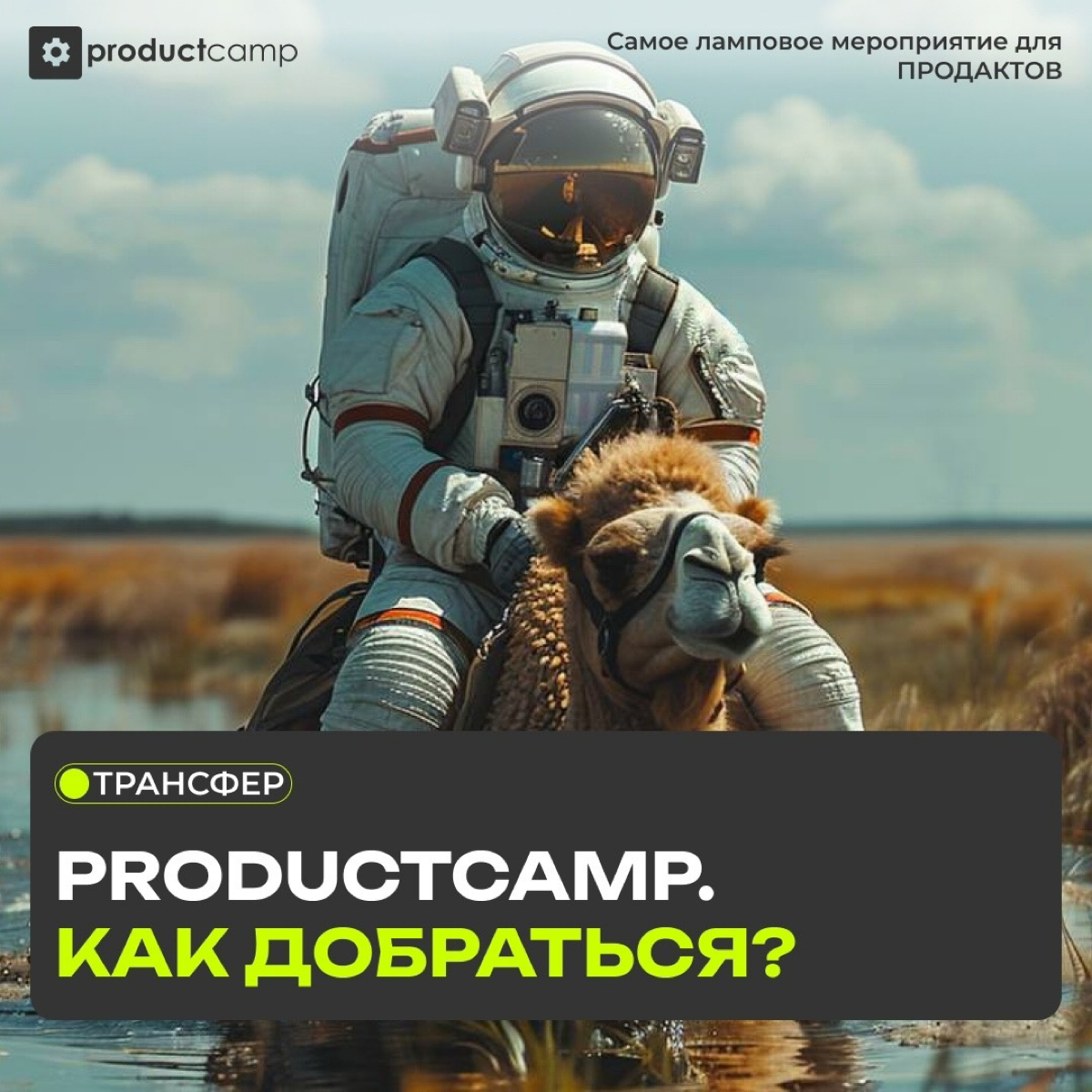 🚐 Трансфер в наш кемп: 8:00
начало незабываемого приключения!
Друзья, уже скоро начнется наша захватывающая поездка в кемп! Во время трансфера мы подготовили для вас увлекательный интерактив, который ... | Сетка — социальная сеть от hh.ru