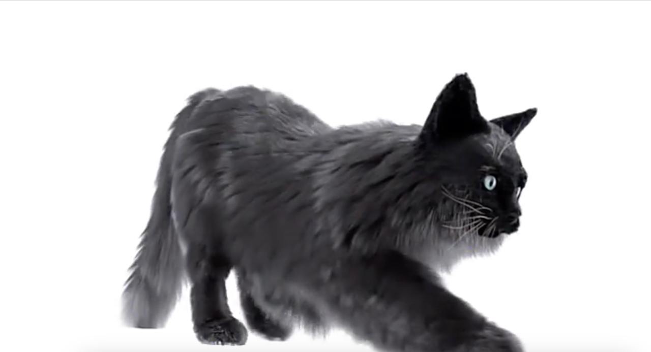 На главной странице сайта Boucheron вот так потягивается компьютерная версия котика Владимира. Смотреть лучше на компьютере с телефона не так впечатляет. Зрелище завораживающее и странное | Сетка — социальная сеть от hh.ru