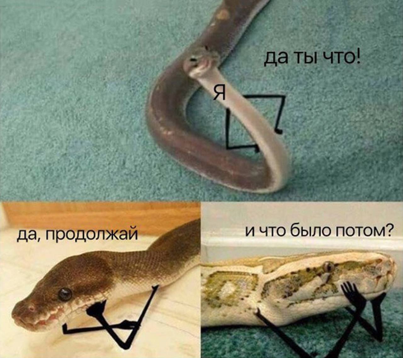 Когда встретились с подружкой обсудить все сплетни | Сетка — социальная сеть от hh.ru