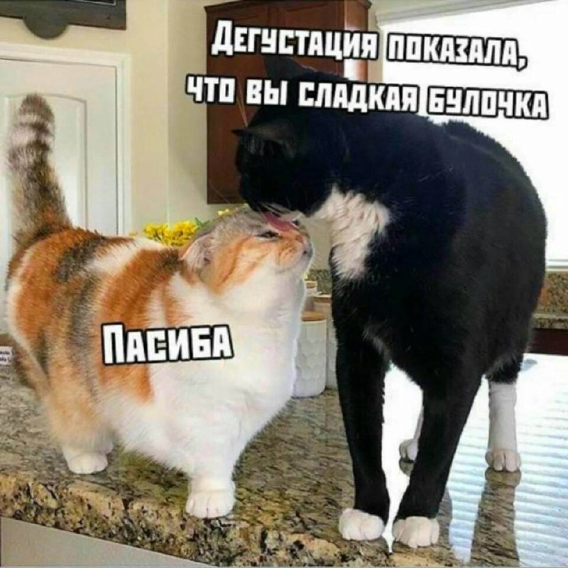 Всем доброго утра) | Сетка — социальная сеть от hh.ru